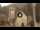 Webcam in Canazei, 0.2 km