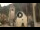 Webcam in Canazei, 0.2 km entfernt