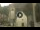 Webcam in Canazei, 0.2 km