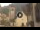 Webcam in Canazei, 0.1 mi away