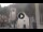 Webcam in Canazei, 4.2 km entfernt