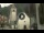 Webcam in Canazei, 4.2 km entfernt