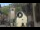 Webcam in Canazei, 0.1 mi away