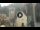 Webcam in Canazei, 0.1 mi away