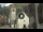 Webcam in Canazei, 0.1 mi away