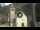 Webcam in Canazei, 0.3 km entfernt