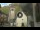Webcam in Canazei, 3.9 km