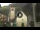 Webcam in Canazei, 0.1 mi away
