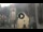 Webcam in Canazei, 0.3 km entfernt