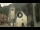 Webcam in Canazei, 0.1 mi away