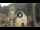 Webcam in Canazei, 0.1 mi away