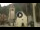 Webcam in Canazei, 0.1 mi away