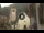Webcam in Canazei, 3.4 km entfernt