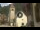 Webcam in Canazei, 6.4 km