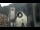 Webcam in Canazei, 0.1 km