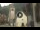 Webcam in Canazei, 1.3 km