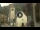 Webcam in Canazei, 3.8 km