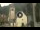 Webcam in Canazei, 0.1 mi away