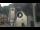 Webcam in Canazei, 0.6 mi away