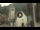 Webcam in Canazei, 0.1 mi away