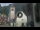 Webcam in Canazei, 0.1 mi away