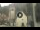 Webcam in Canazei, 0.1 mi away