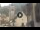 Webcam in Canazei, 0.1 mi away
