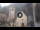 Webcam in Canazei, 0.1 mi away