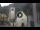 Webcam in Canazei, 0.2 km