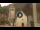 Webcam in Canazei, 0.2 km entfernt