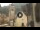 Webcam in Canazei, 0.2 km