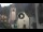 Webcam in Canazei, 0.1 mi away