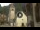 Webcam in Canazei, 3.4 km