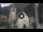 Webcam in Canazei, 0.1 mi away