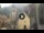 Webcam in Canazei, 0.1 mi away