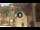 Webcam in Canazei, 2.5 km