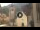 Webcam in Canazei, 0.2 km