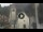 Webcam in Canazei, 0.2 km