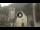 Webcam in Canazei, 0.1 mi away