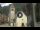 Webcam in Canazei, 0.1 mi away