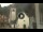 Webcam in Canazei, 3.4 km