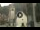 Webcam in Canazei, 0.1 mi away