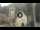 Webcam in Canazei, 0.1 mi away