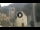 Webcam in Canazei, 0.6 mi away
