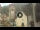 Webcam in Canazei, 0.1 mi away