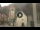 Webcam in Canazei, 3.4 km entfernt