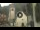 Webcam in Canazei, 0.1 mi away