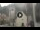 Webcam in Canazei, 6.3 km