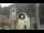 Webcam in Canazei, 0.6 mi away
