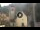Webcam in Canazei, 0.3 km entfernt
